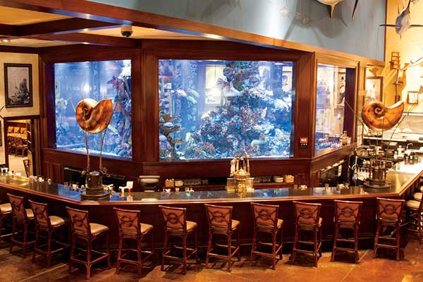 Islamorada Fish Company Restaurant Contact Us Bass Pro Shops